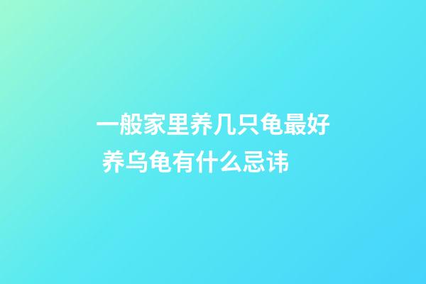 一般家里养几只龟最好 养乌龟有什么忌讳
